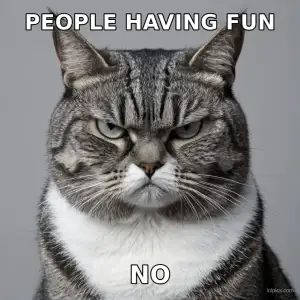 Unimpressed Cat meme template