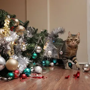 Christmas Tree Chaos meme template