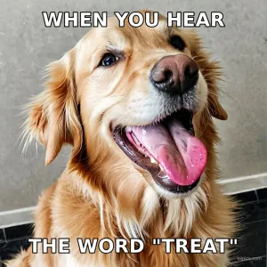 Pure Joy Dog meme template