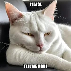 Sarcastic Cat meme template