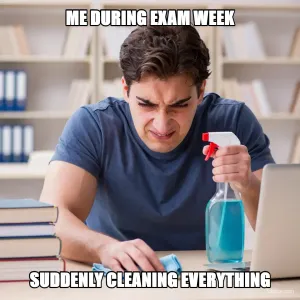 Procrastination Cleaning meme template